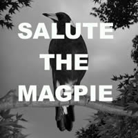 session_salutethemagpie.jpg